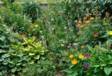 Vista ampla de um jardim com plantas resistentes e coloridas de baixa manutenção.