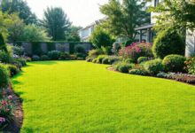 Vista ampla de um jardim recém-implantado com gramado e canteiros floridos.