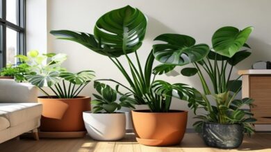 Coleção de plantas tropicais em vasos de cerâmica em sala moderna de apartamento